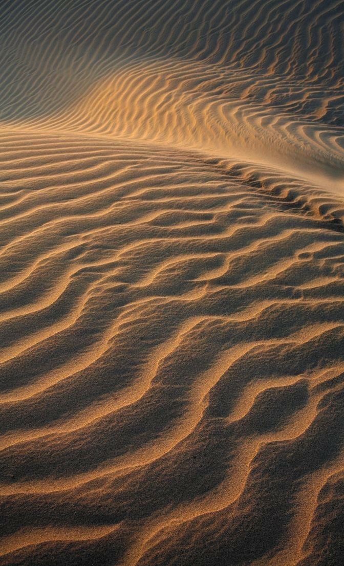 Desert Dunes Background